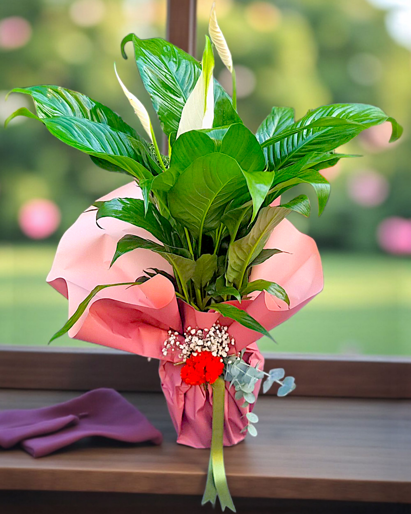 Spathiphyllum Bar?? Çiçe?i zarif hediye – Ankara çiçekçi ayn? gün teslim