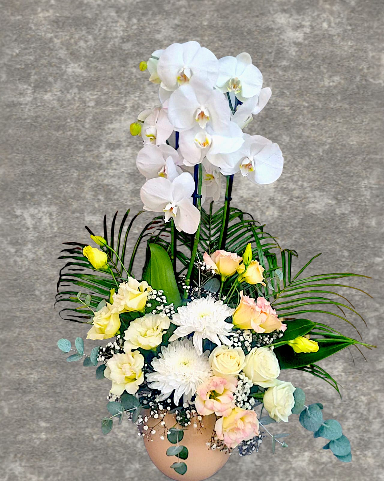 Orchid Grace