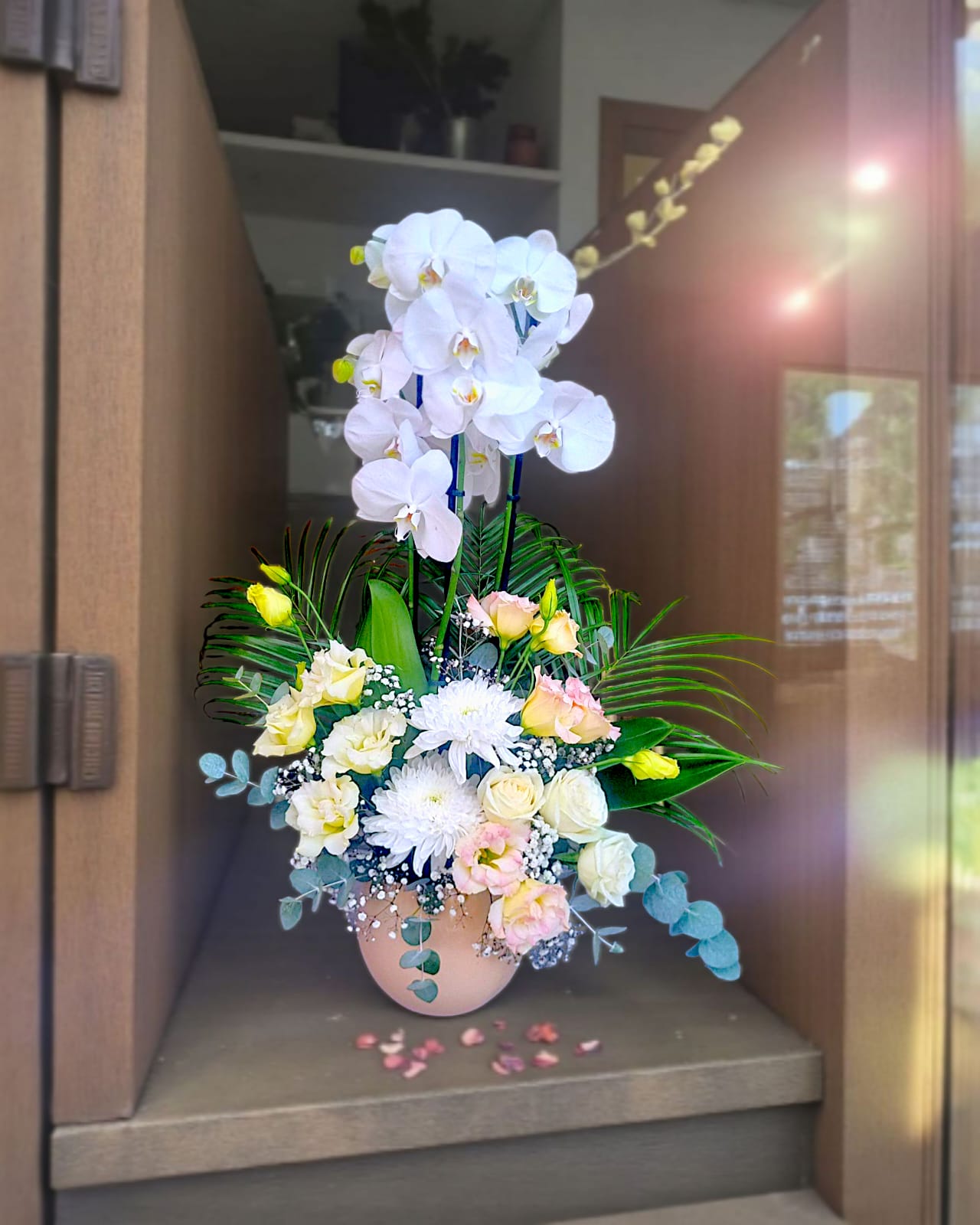 Orchid Grace