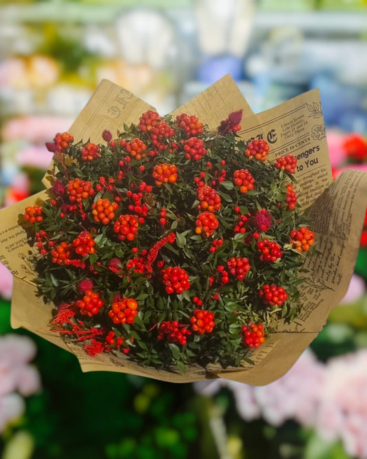 Scarlet Kokina Charm Kokina Zarafeti