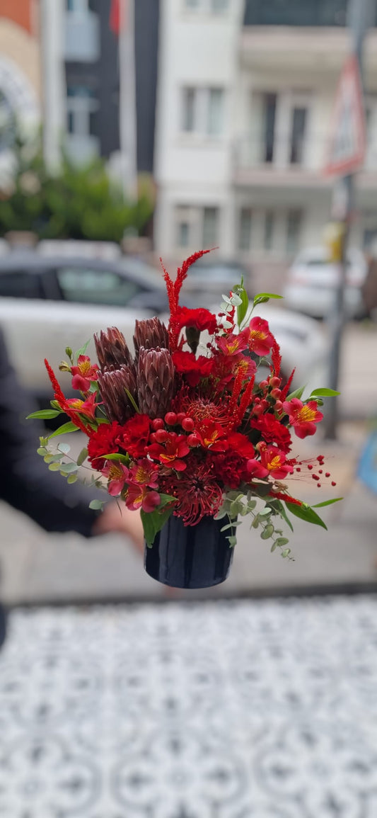 Crimson Flame Kırmızı Alev Saksı Aranjmanı