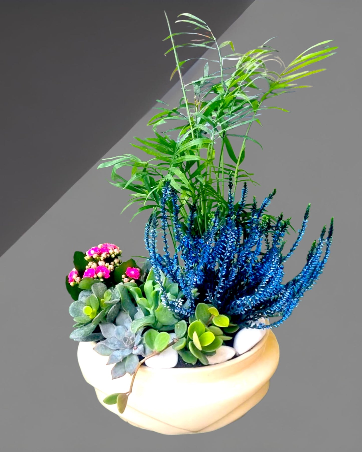 Botanic Breeze Doğanın Esintisi Sukulent Aranjmanı - Çiçeklendir