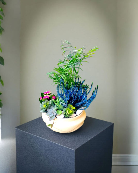 Botanic Breeze Doğanın Esintisi Sukulent Aranjmanı