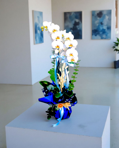 Blue Serenity Beyaz Orkide - Çiçeklendir