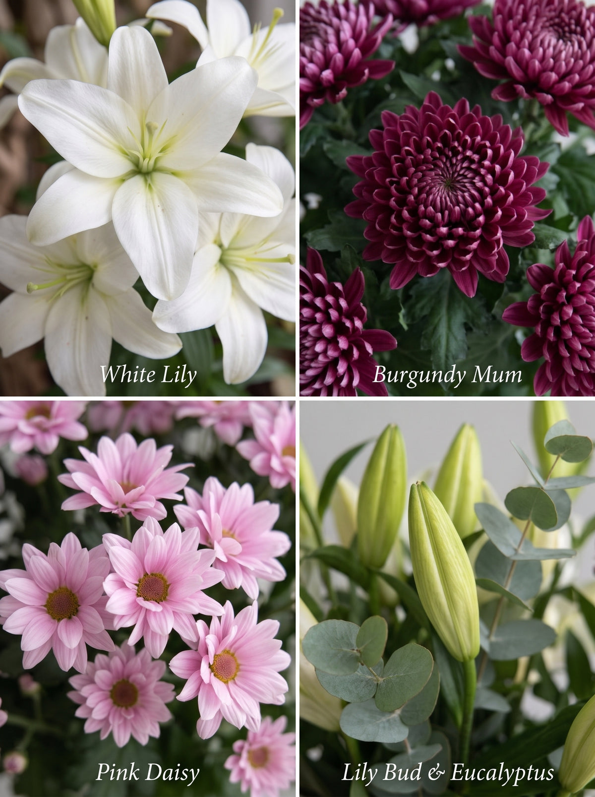 Royal Lily Amethyst – Beyaz Lilyum ve Mor Anastasia Buketi