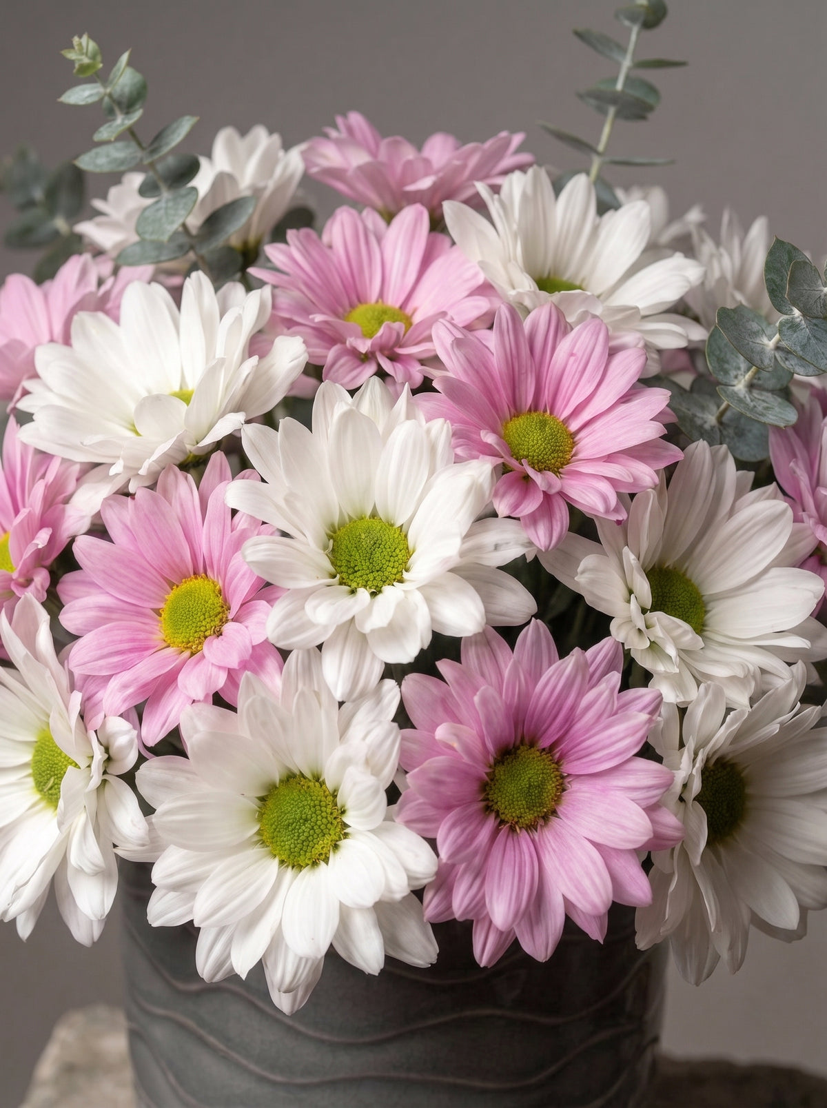 Rosy Daisy Charm  Papatya Vazolu Aranjman