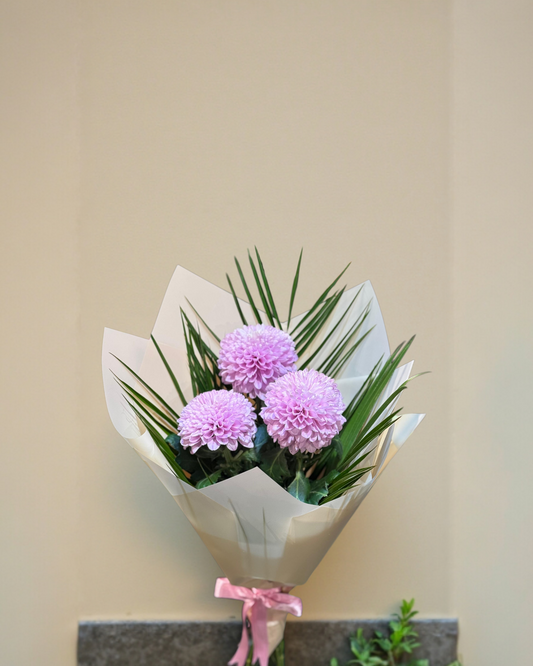 Lavender Bloom  Kasımpatı Buketi