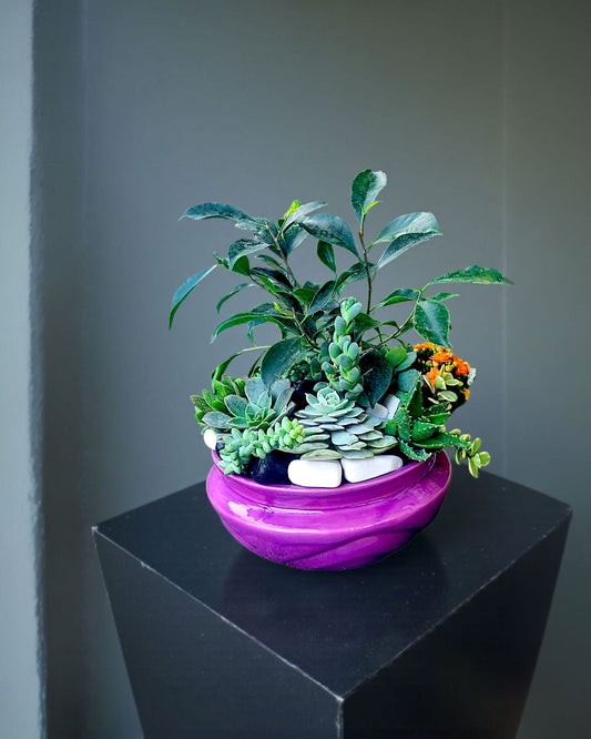 Violet Garden Mor Bahçe Aranjmanı