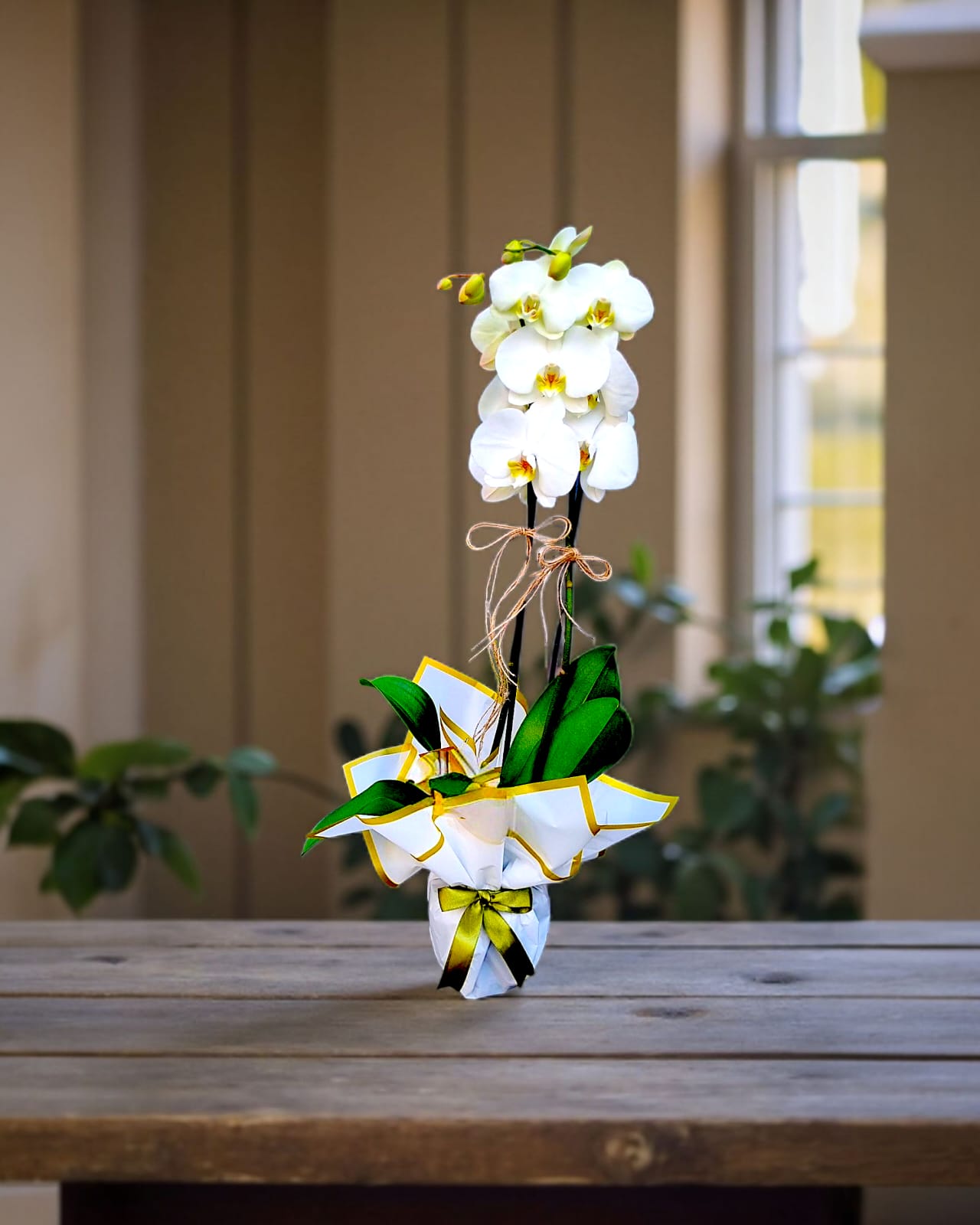 Golden Grace İki Dallı Orkide - Çiçeklendir