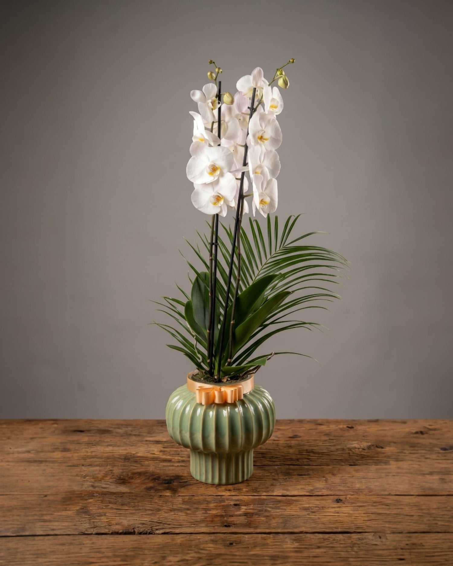 Emerald Elegance Orchid  Seramikte Çift Dallı Beyaz Orkide Zarafeti