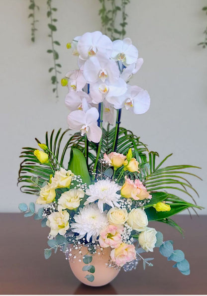 Orchid Grace - Çiçeklendir