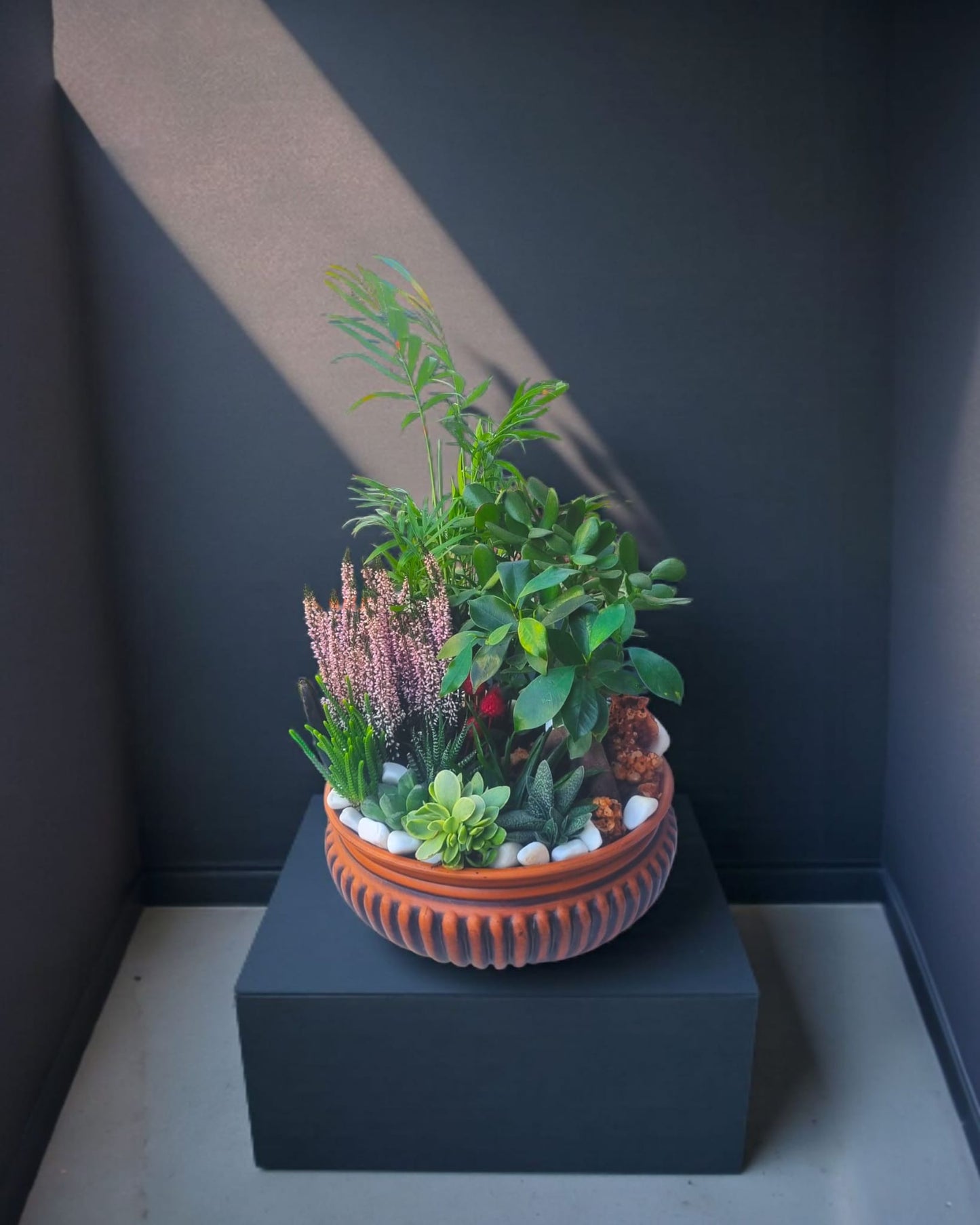 Verdant Harmony Doğanın Uyum Bahçesi - Çiçeklendir