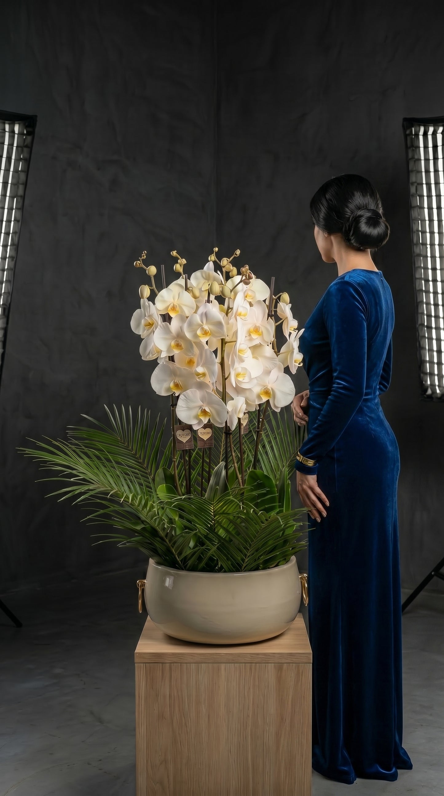 Royal Orchid Garden Beyaz Seramikte Beyaz Orkide Bahçesi