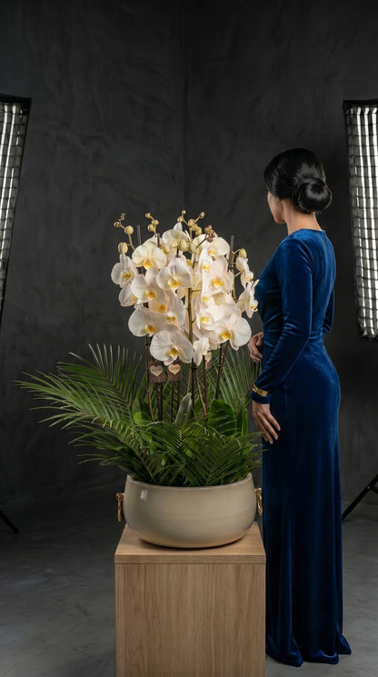 Royal Orchid Garden Beyaz Seramikte Beyaz Orkide Bahçesi