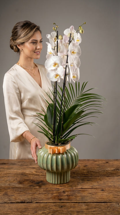 Emerald Elegance Orchid  Seramikte Çift Dallı Beyaz Orkide Zarafeti