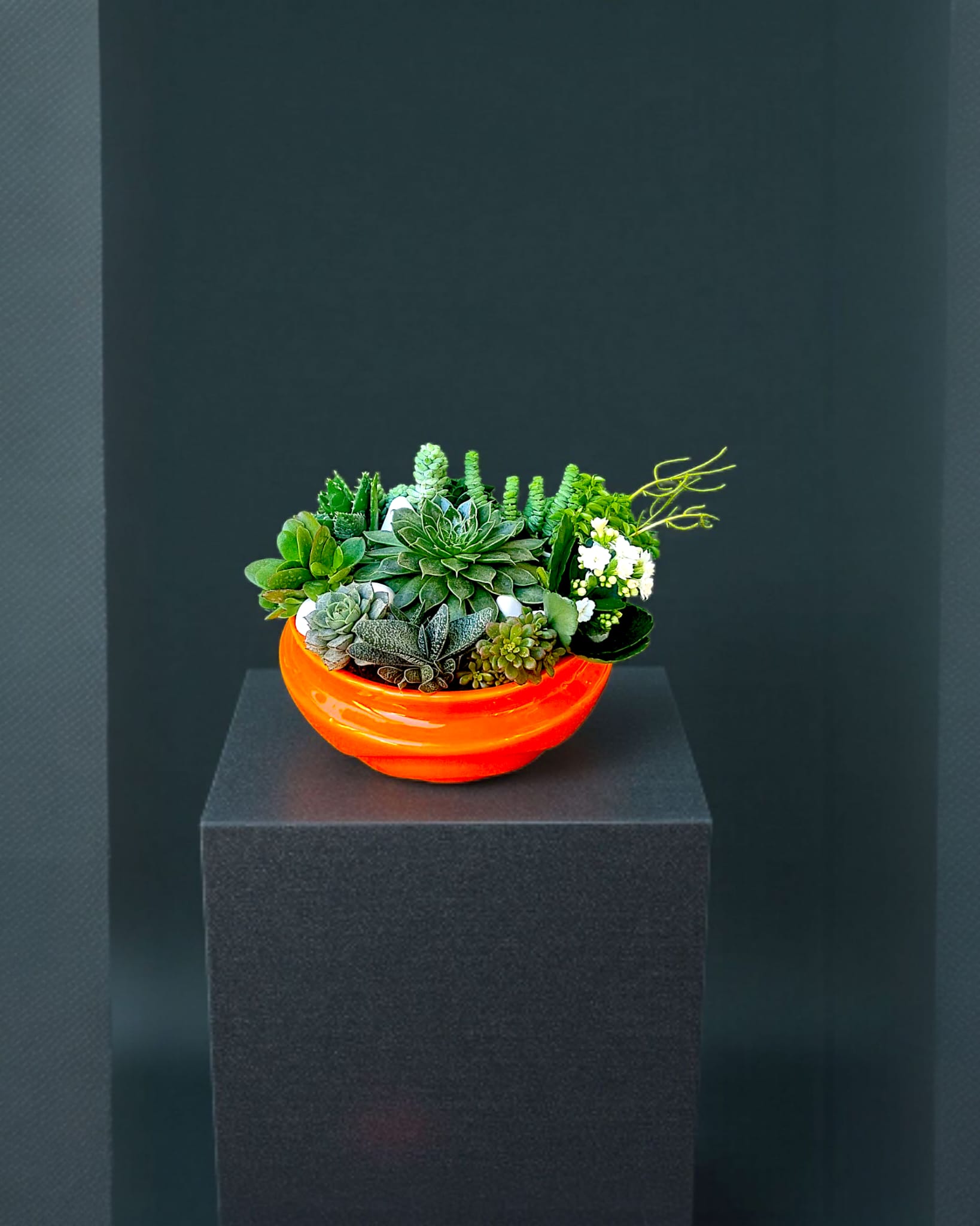 Sunset Verde Sukulent Aranjmanı - Çiçeklendir