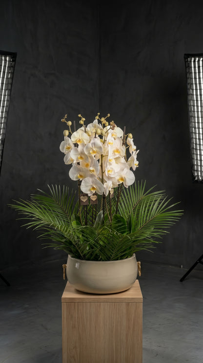 Royal Orchid Garden Beyaz Seramikte Beyaz Orkide Bahçesi