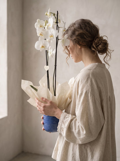 Royal Snow Orchid Mavi Seramik Vazoda Çift Dallı Beyaz Phalaenopsis Orkide – zarif hediye paketi, Çiçeklendir Ankara
