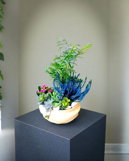 Botanic Breeze  Doğanın Esintisi Sukulent Aranjmanı - Çiçeklendir